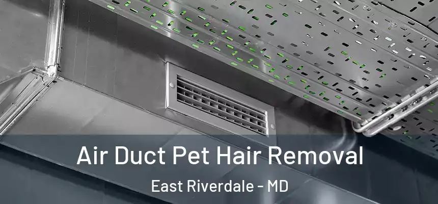  Air Duct Pet Hair Removal East Riverdale - MD