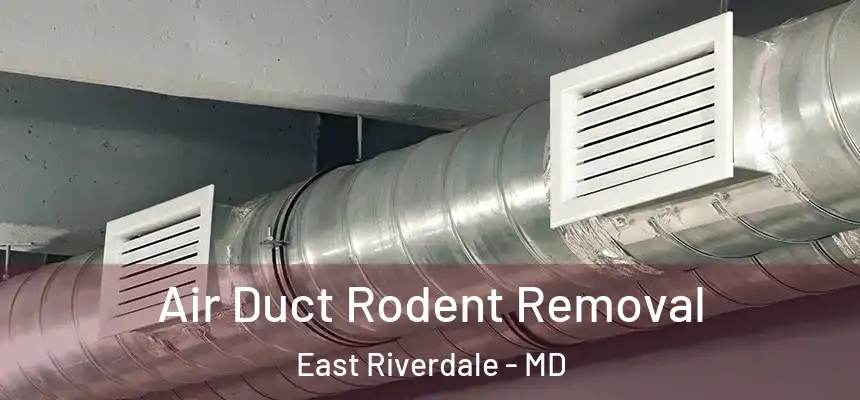  Air Duct Rodent Removal East Riverdale - MD