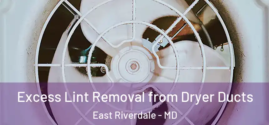 Excess Lint Removal from Dryer Ducts East Riverdale - MD