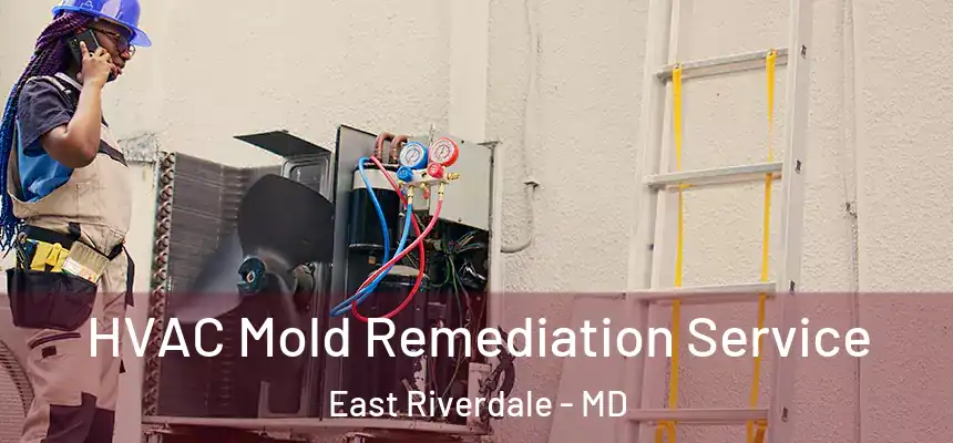  HVAC Mold Remediation Service East Riverdale - MD