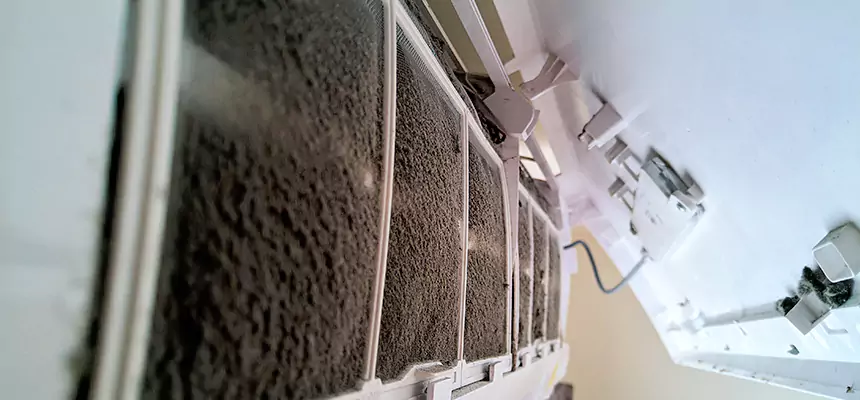 Preventive Air Duct Bacteria Removal in East Riverdale