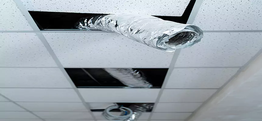 Our Air Duct Pet Hair Removal Services in East Riverdale, MD