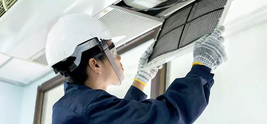 Our Mold & Mildew Removal from Air Ducts Services in East Riverdale, MD