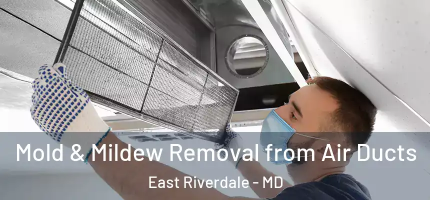  Mold & Mildew Removal from Air Ducts East Riverdale - MD