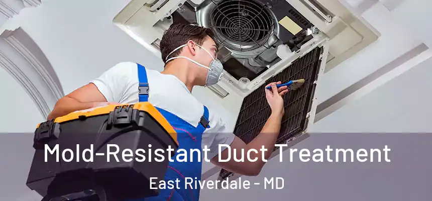  Mold-Resistant Duct Treatment East Riverdale - MD
