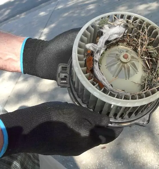 About Air Duct Mice Removal in East Riverdale, MD