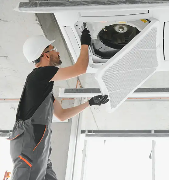 About Air Duct Rodent Removal in East Riverdale, MD