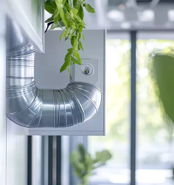 Professional Eco-Friendly Duct Cleaning Services in East Riverdale, MD