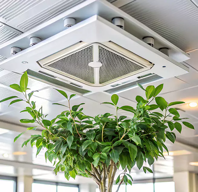 Why Homeowners & Businesses Trust Us in East Riverdale, MD?