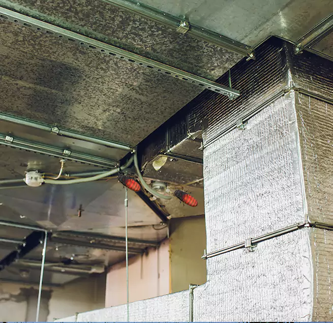 Why Homeowners & Businesses Trust Us East Riverdale, MD?