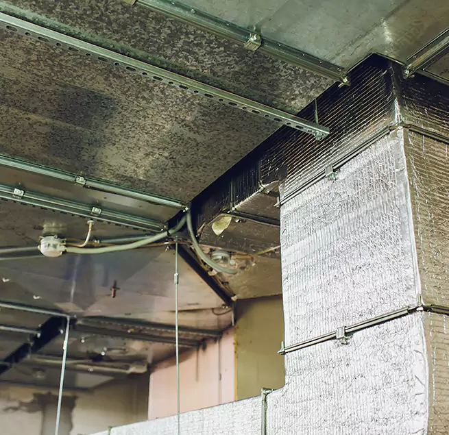 Why Homeowners & Businesses Trust Us in East Riverdale, MD?